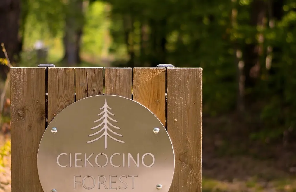 Hébergement AlohaCamp Ciekocino Forest - apartamenty nad morzem z jacuzzi 5