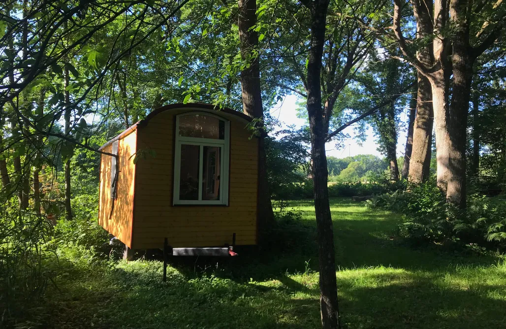 Hébergement AlohaCamp Roulotte au cœur de la nature 5