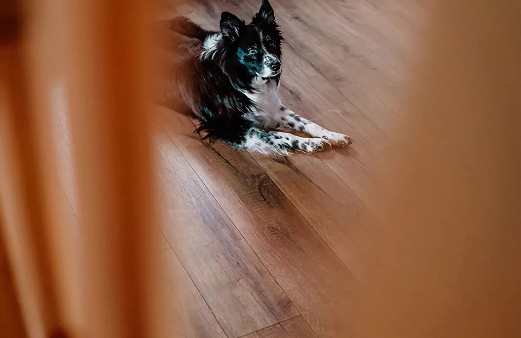 Targanice noclegi Domek Niebieski Stasiówka 1