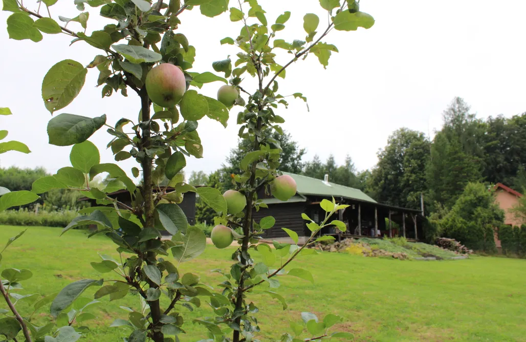 AlohaCamp Zabytkowy dom z bali Chronowska Chatka 1