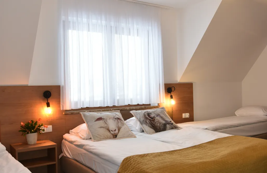 AlohaCamp pokój czteroosobowy 2