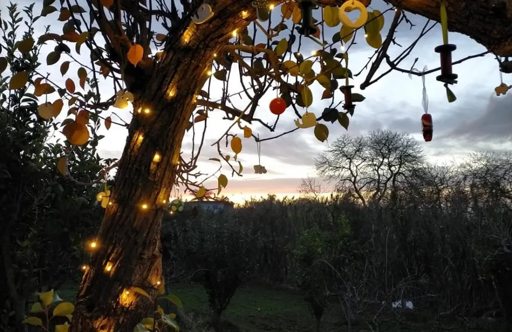 Cabañitas del Bosque Casa Rural Limón Y Sol 3