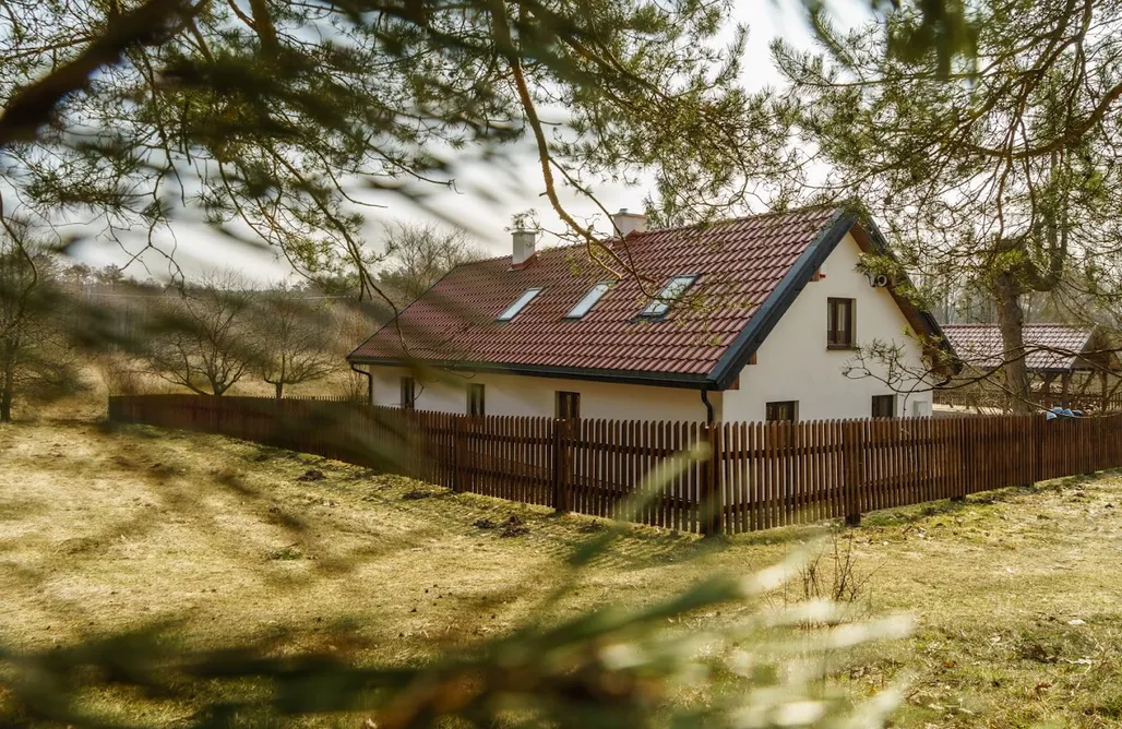 AlohaCamp Cichy Las 2