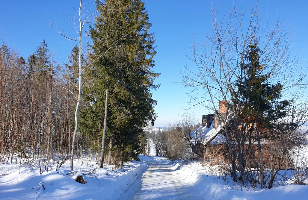 noclegi AlohaCamp Ponad Górami 1