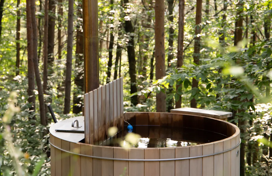 Gîtes dans les châtaigniers en Ardèche Verte AlohaCamp