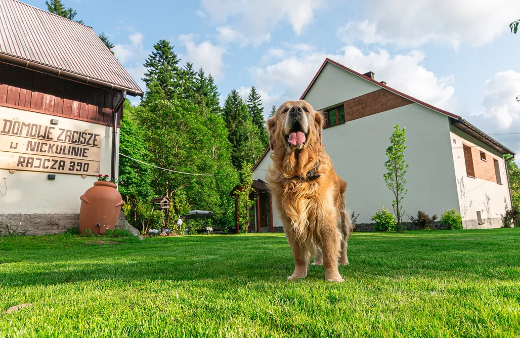 Rajcza Domki Domowe Zacisze W Nickulinie  2