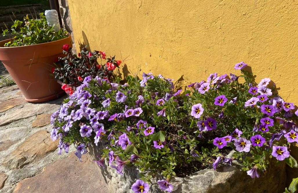 Unterkunft AlohaCamp Casa de Aldea Peña Crespa 5