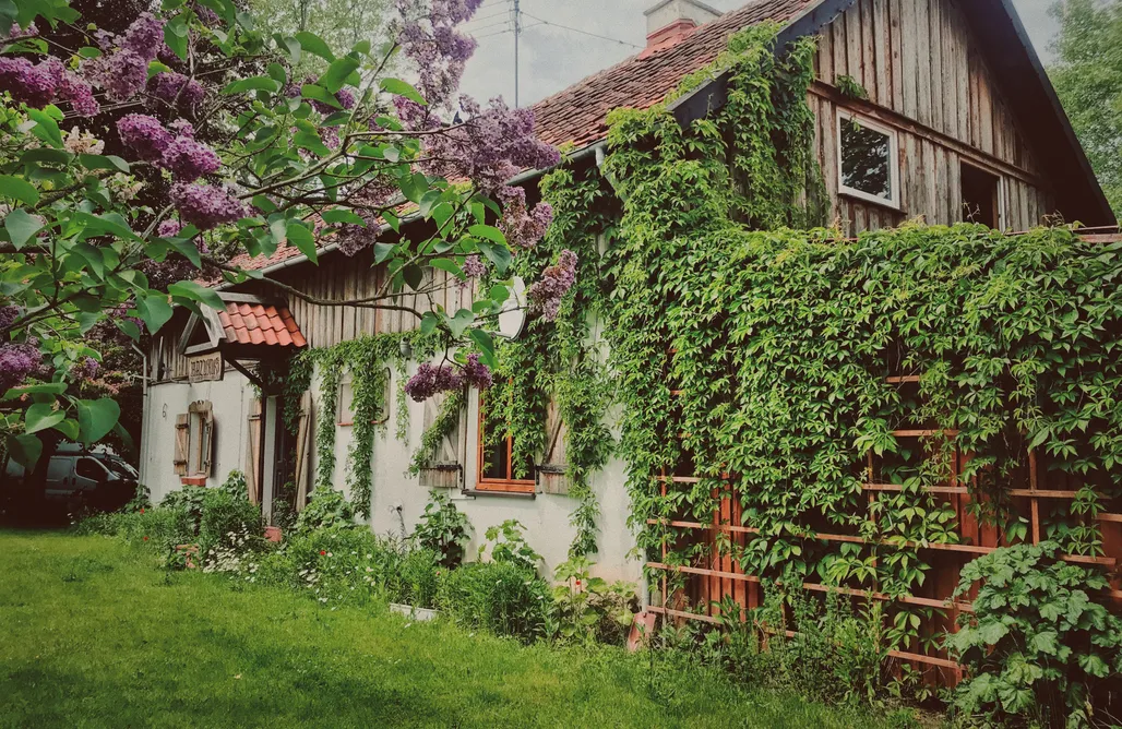 Tanie Noclegi Giżycko Mazurus 2