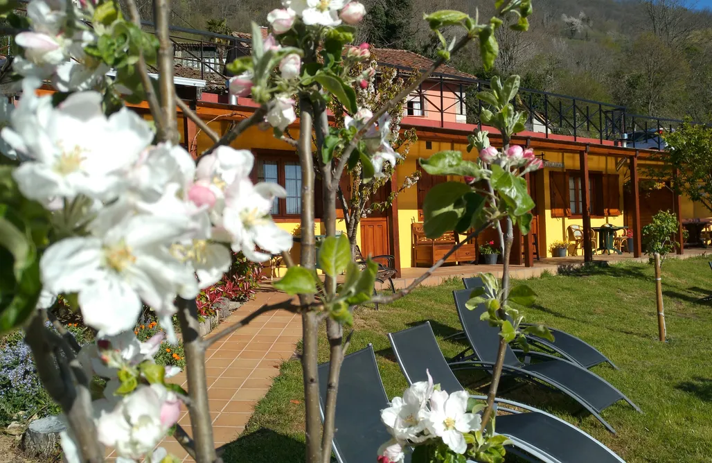 Bungalows España Apartamentos rurales Balcón real - Spa el Duque 1