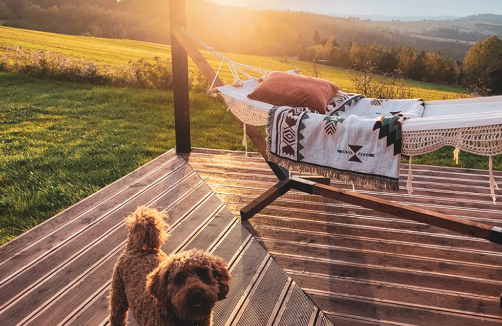 noclegi AlohaCamp Polne Chaty Dursztyn 1