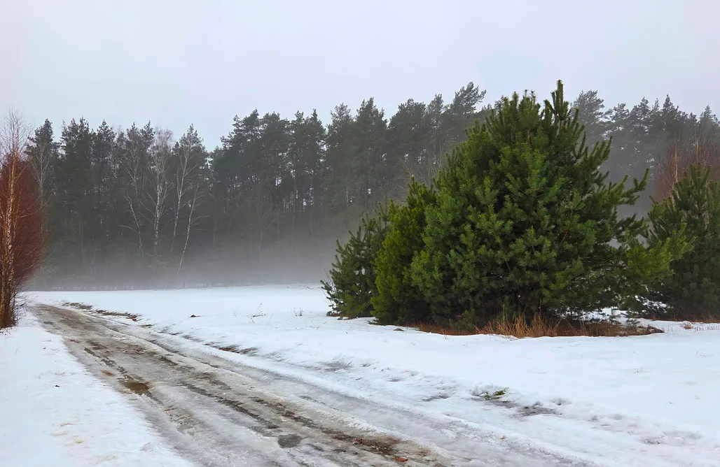 ubytování AlohaCamp Domek pod lasem 1