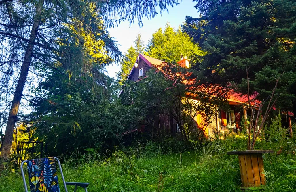 Unterkunft AlohaCamp Grapa: Magiczna Leśna Chata 1