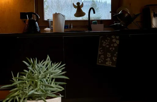 Zdjęcie obiektu Dolina Świstaka 