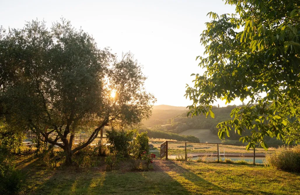 alojamientos AlohaCamp Agriturismo Le Tre Pietre - Podere nel Chianti 4