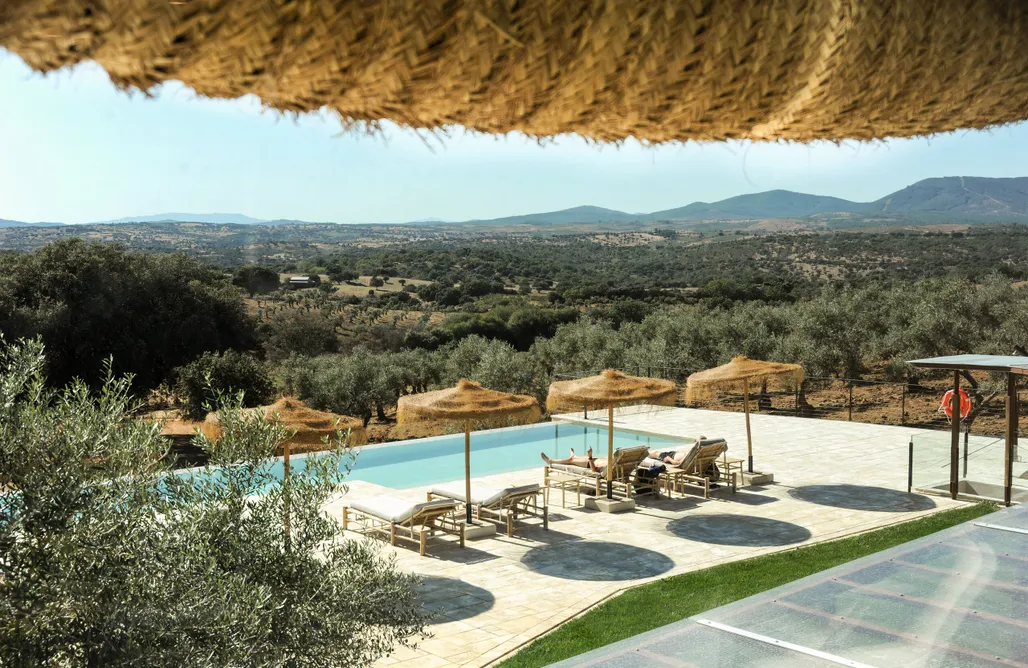 Hábitat Cigüeña Negra  AlohaCamp