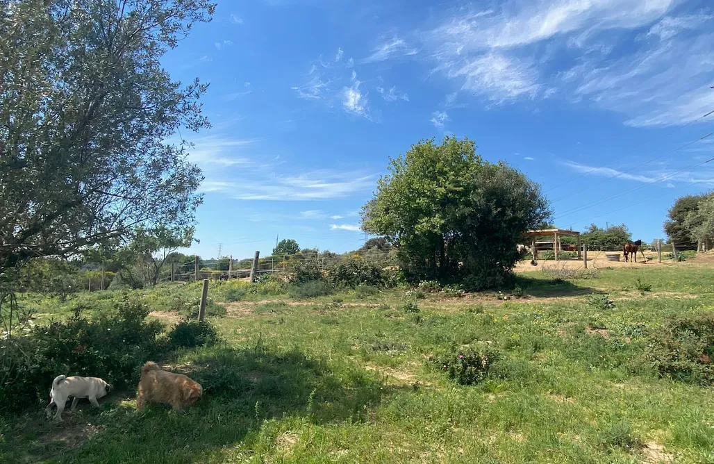 Cave House Spain Preciosa tiny house + caravana en granja hipica 1