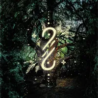 Kasia i Maku gospodarz Miejsce kamperowe i namiotowe - Zaczarowany las