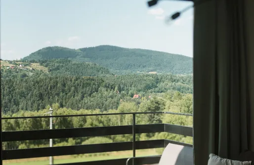 Zdjęcie obiektu kurza łapka 