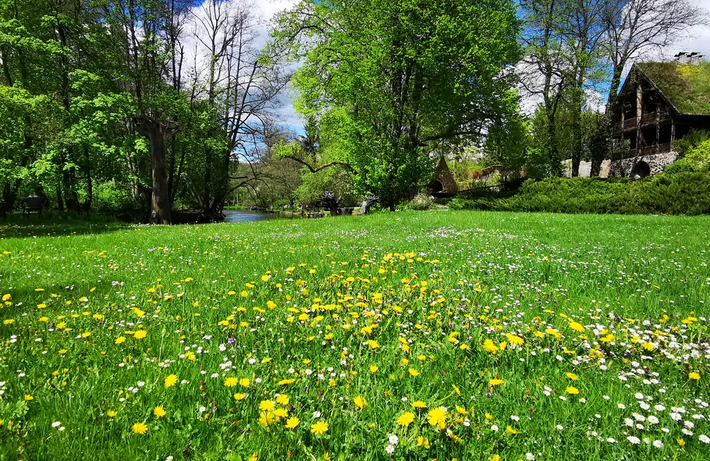 noclegi AlohaCamp Kraina Alkos - Adults Only (18+) 1