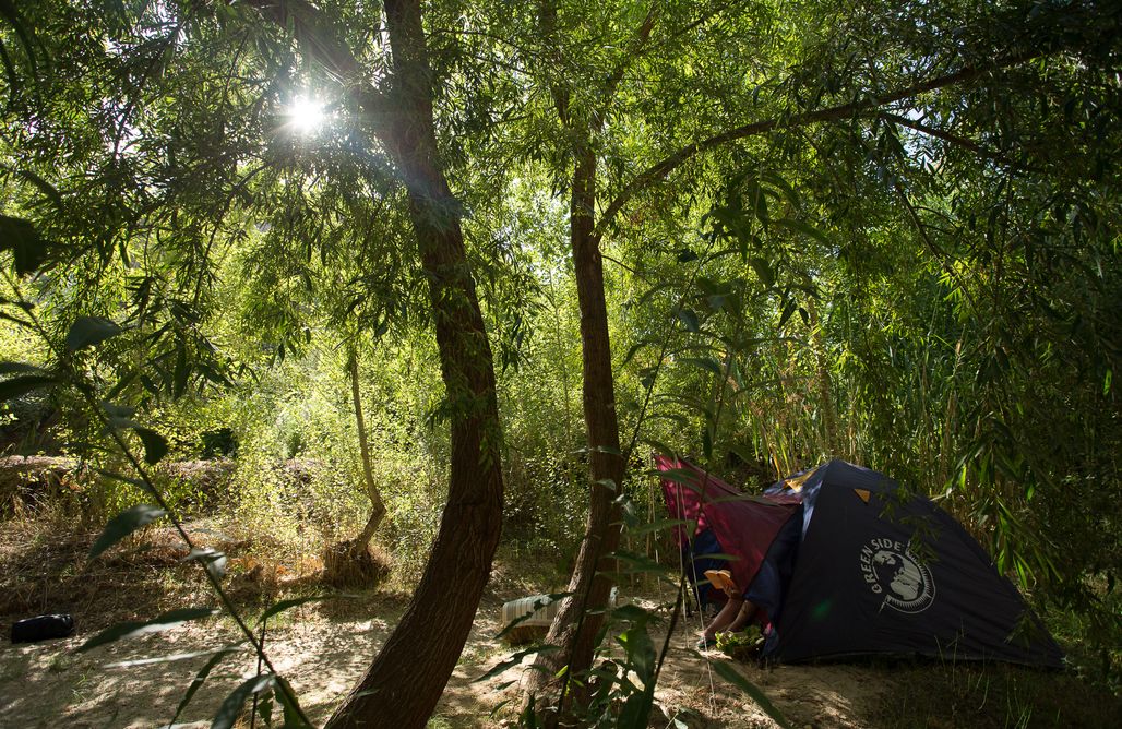 Camping En Andalucía Sitio para tiendas de campaña: La Molina 2