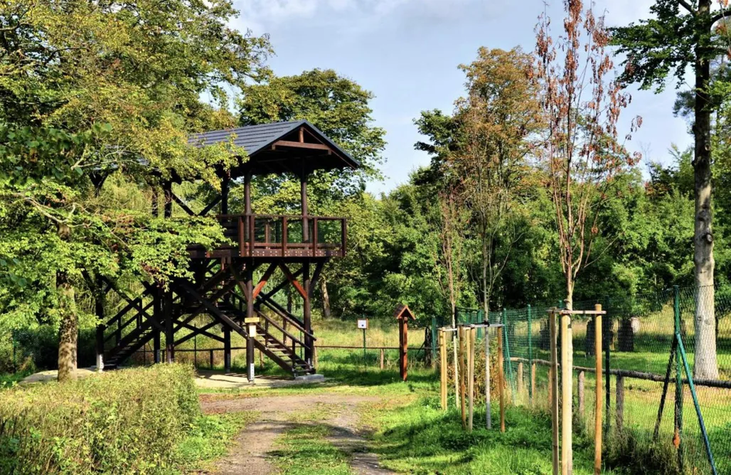 noclegi AlohaCamp Quiet Anomaly Glamping Forest & Wellness Retreat Adults Only 5