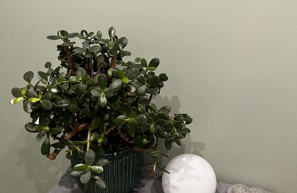 AlohaCamp Śpimy u Dziadków - apartament 2 3