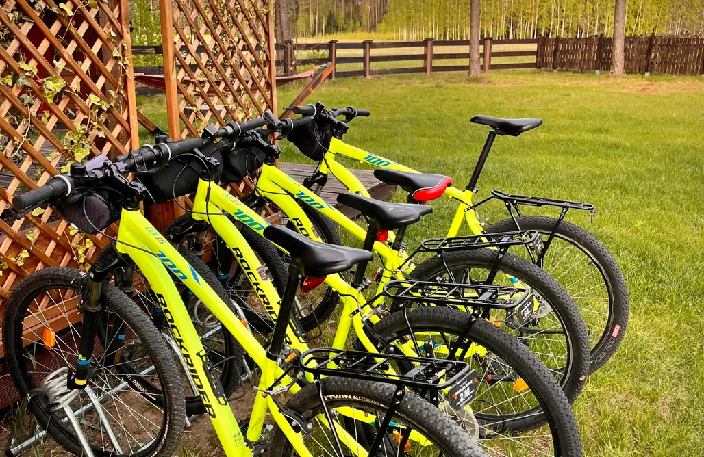 AlohaCamp Dom 1 Brązowy 1