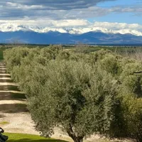 Ange host Casona Monte Lumina