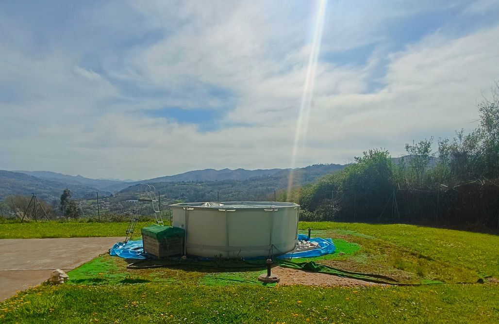 alojamientos AlohaCamp My Reyna, casa con jardín y piscina para 8 personas en Lada 5