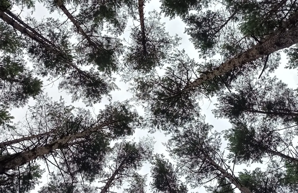 noclegi AlohaCamp Perła Wincentowa - domek z sauną 5