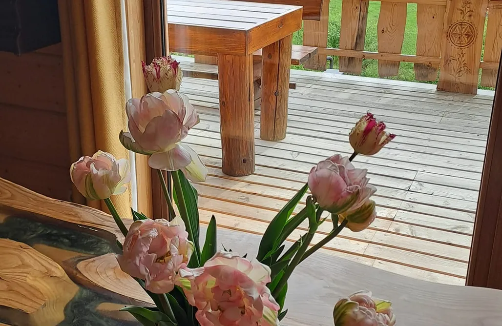 noclegi AlohaCamp Willa Hubertówka  5