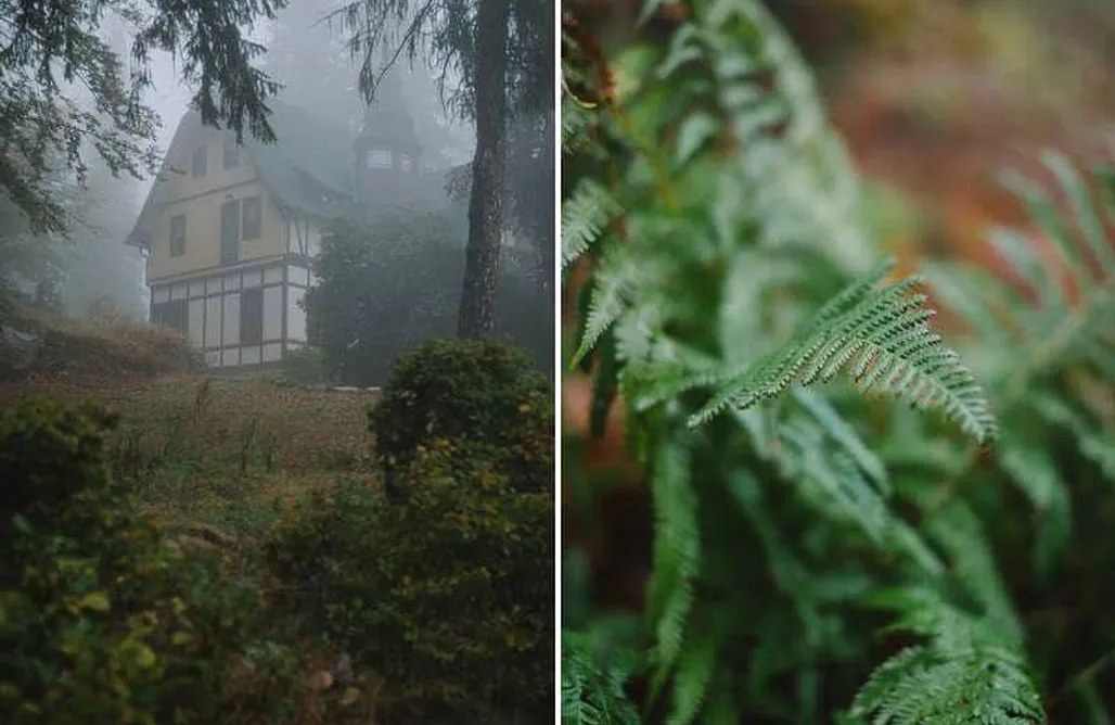 Szklarska Poręba Tanie Noclegi - Kwatery Prywatne Weranda Dom 1