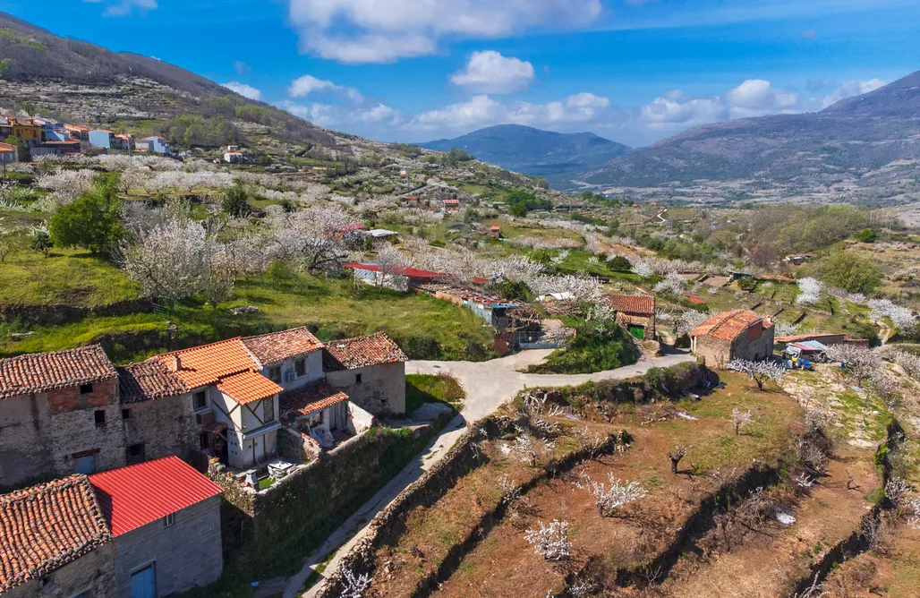 alojamientos AlohaCamp El Pajar de Tia Maria 1