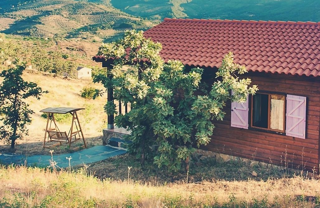 AlohaCamp Cabaña Violeta 1