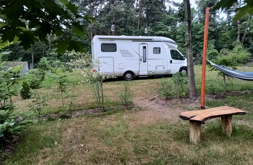 Pole Campingowe Kujawsko-Pomorskie  WoodCamping-Otulony Puszczą Kampinoską 1