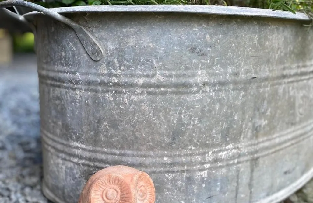 Hütte Im Wald Mieten Leipzig Haflingerstall 1