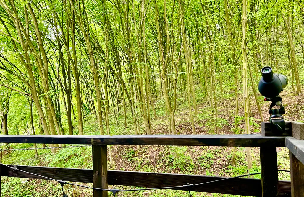 Na Skraju Lasu - Domek na drzewie  AlohaCamp