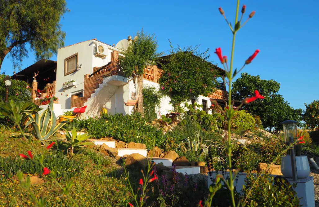 AlohaCamp accommodation Glamping  Bed & Breakfast Finca Alegria de la Vida 1