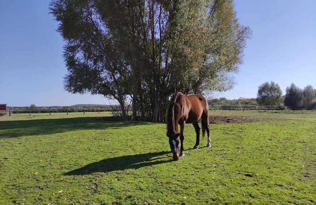 Wczasy Nad Jeziorem Miejsce kamperowe - Rancho Klama 1