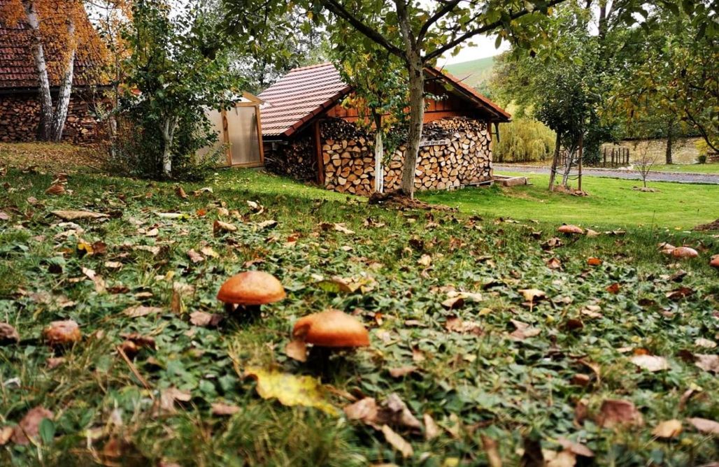 noclegi AlohaCamp Chata Zbychówka
 5