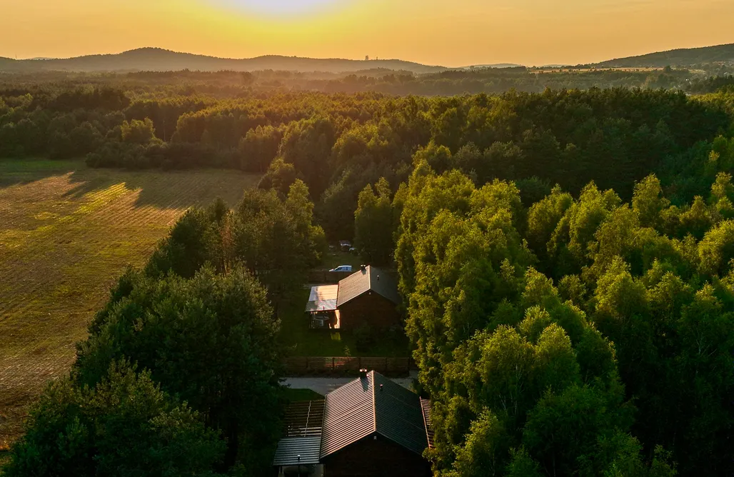 noclegi AlohaCamp Forestland - domki wśród drzew z sauną i balią 3