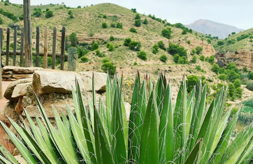 Vacation Rentals Murcia Casa rural Rio Chicamo 3