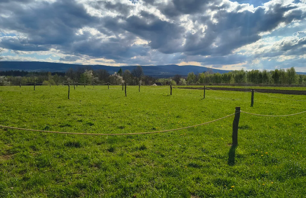 AlohaCamp miejsce kamperowe 1