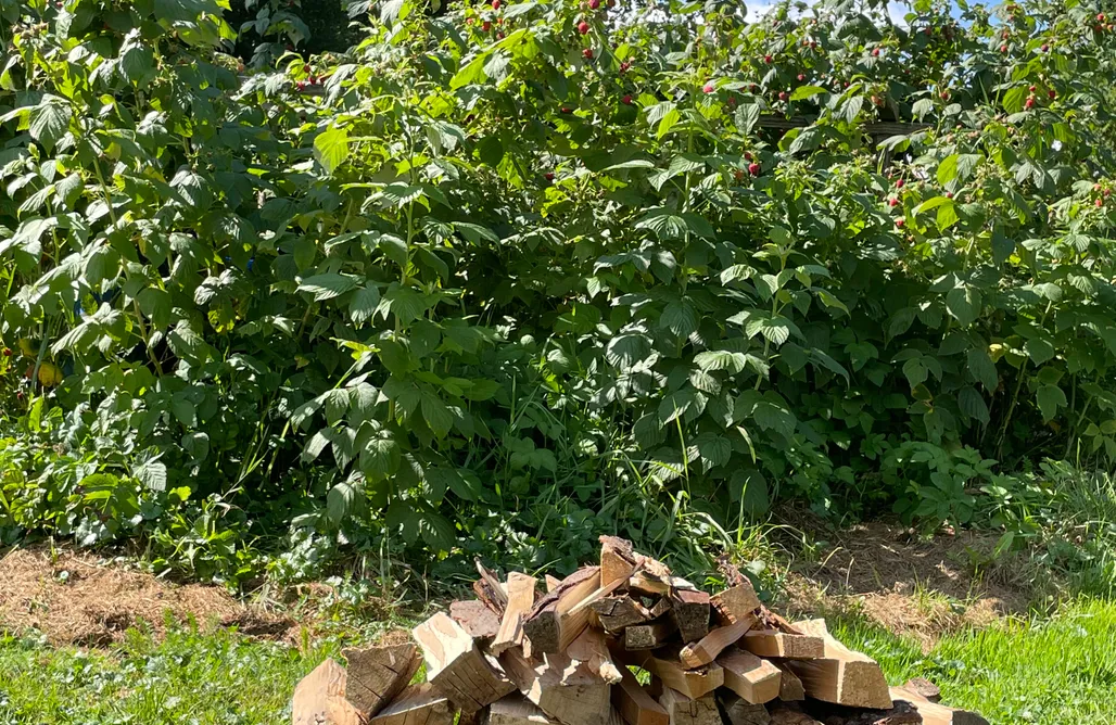 Alloggi AlohaCamp Blisko.me 1