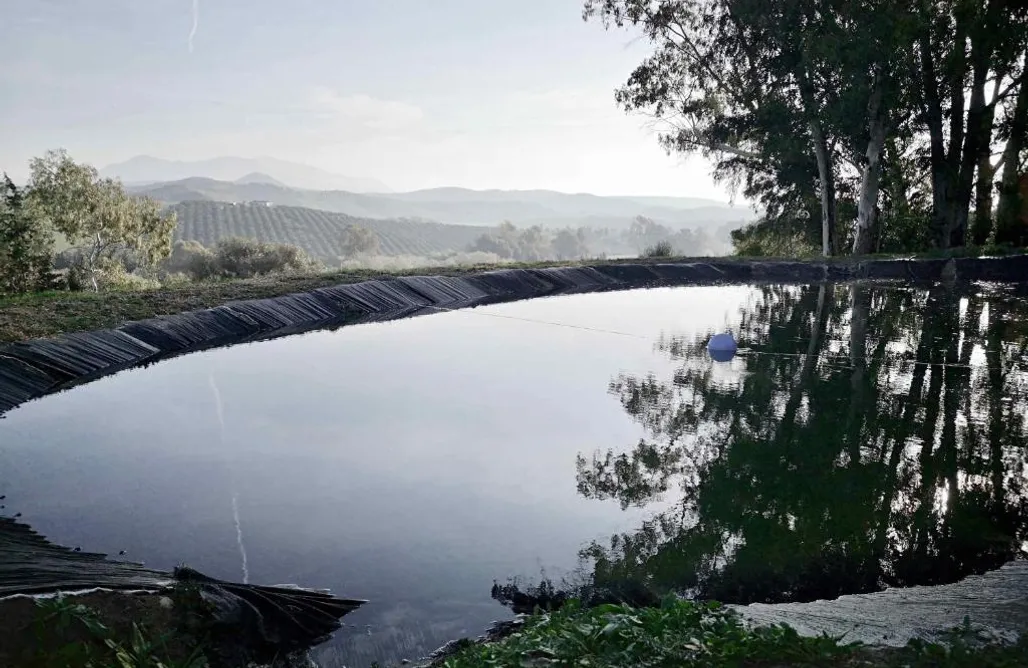 AlohaCamp accommodation Finca La Gloria 1