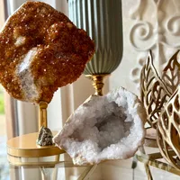 S gospodarz Kryształowy Domek