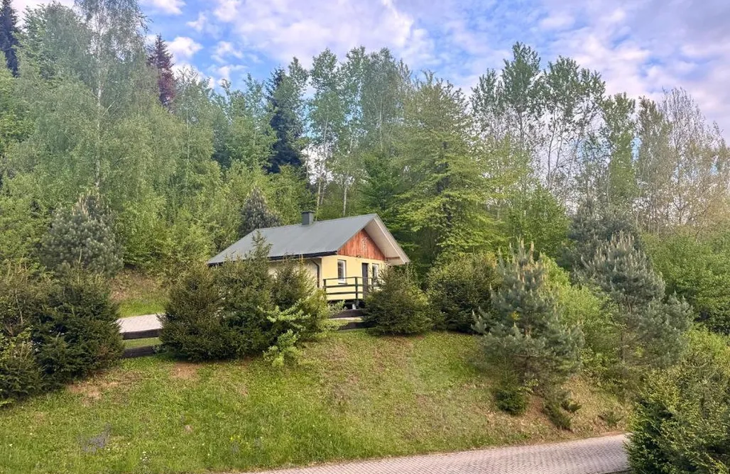 Domki Solina Domki przy lesie i blisko jeziora 3