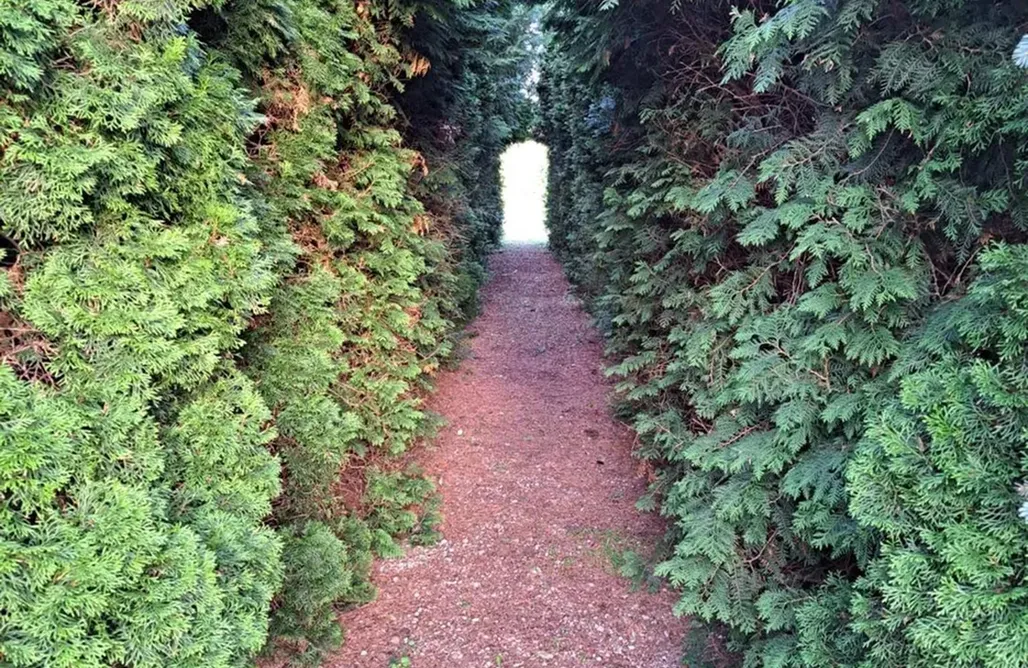 noclegi AlohaCamp Osada Drzonek 1