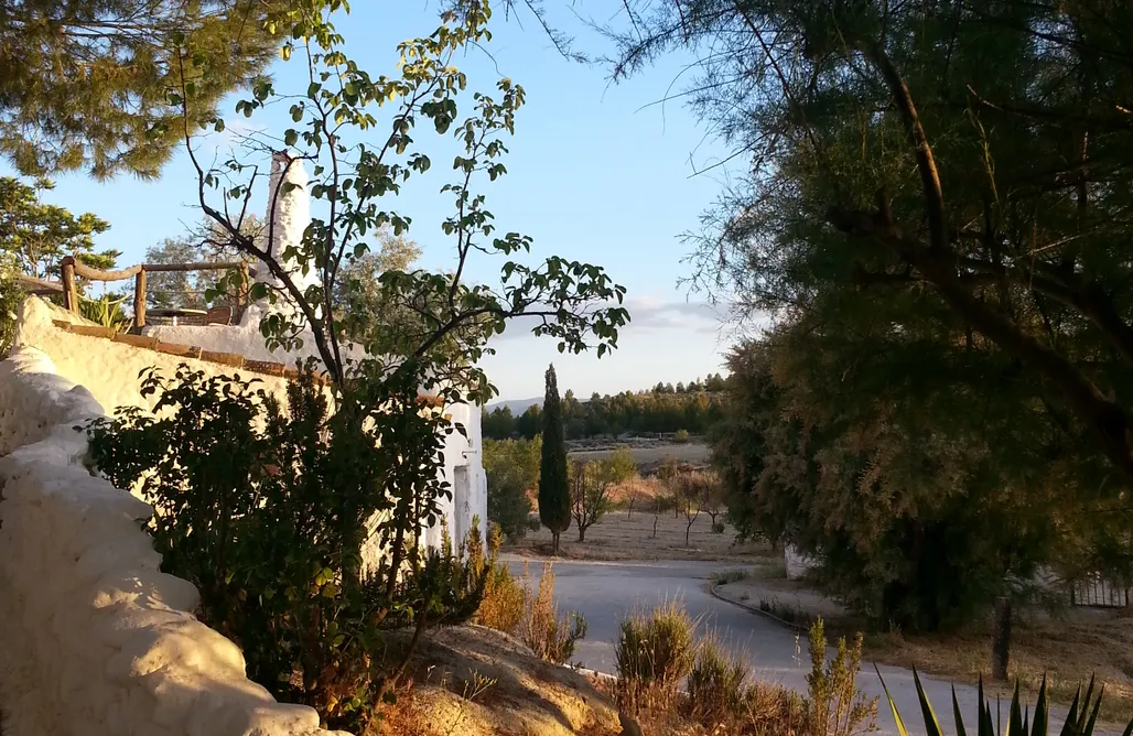 Unterkunft AlohaCamp Cuevas Aljatib 5