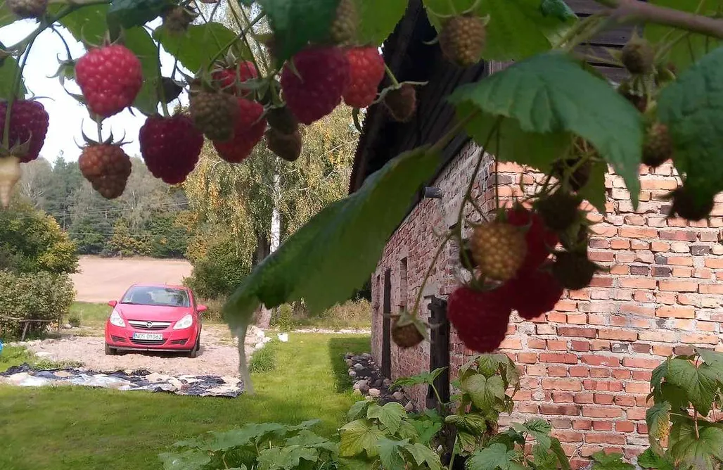 AlohaCamp Pole namiotowe/kamperowe na wyłączność  1